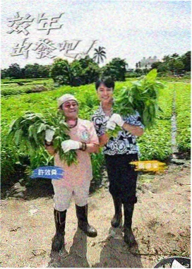 运动分镜示意：跑道与看台之间的观察位